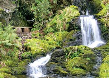 Aberdunant Country Park